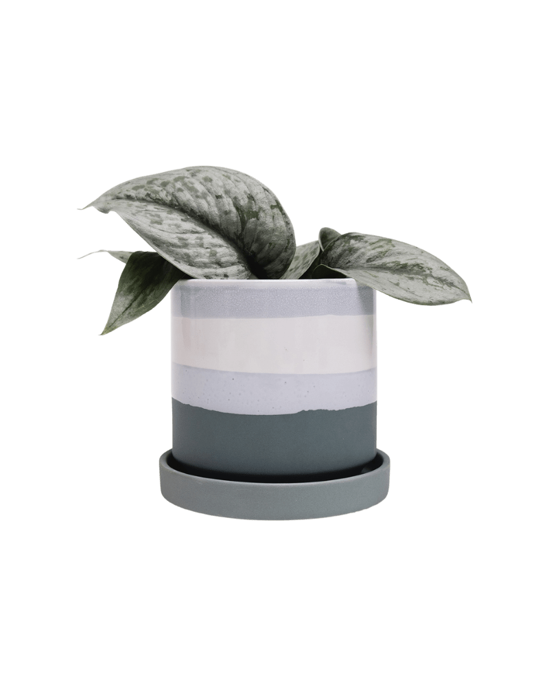 Minute Ceramic Pot And Saucer Set With Drainage - Chive US Wholesale