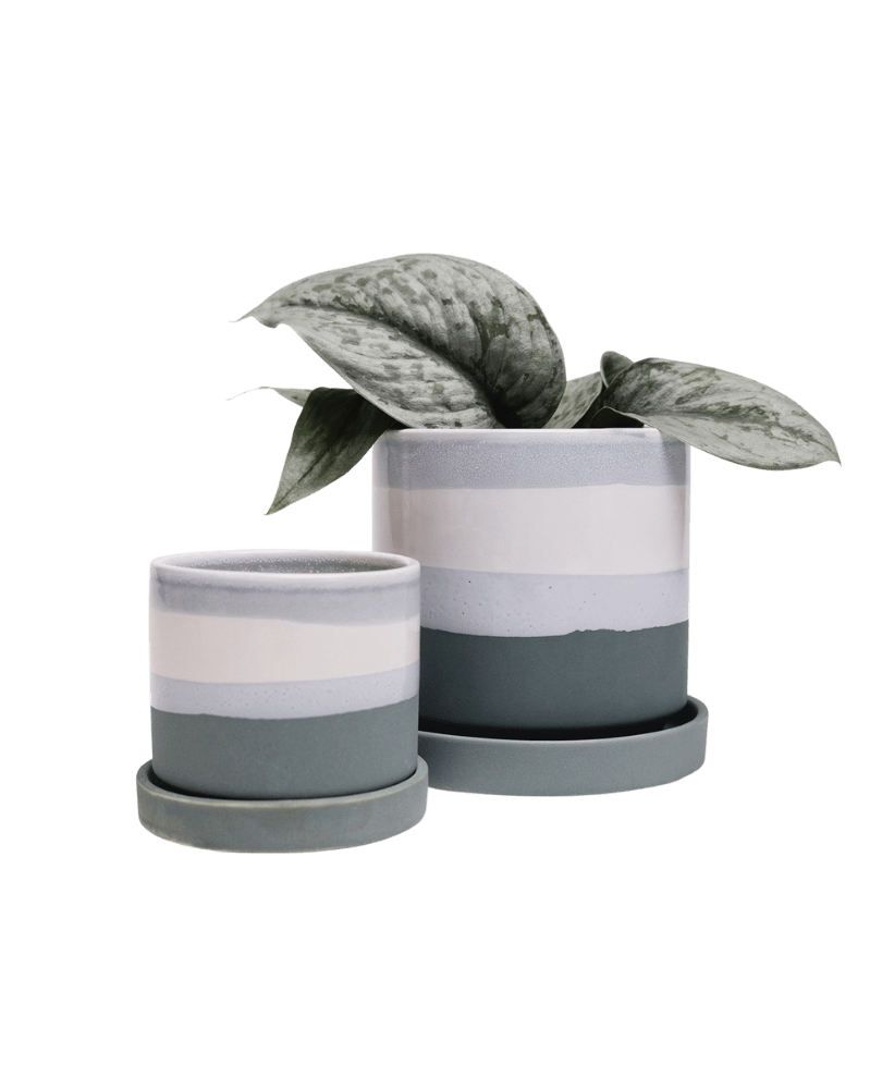 Minute Ceramic Pot And Saucer Set With Drainage - Chive US Wholesale