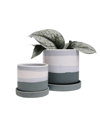 Minute Ceramic Pot And Saucer Set With Drainage - Chive US Wholesale