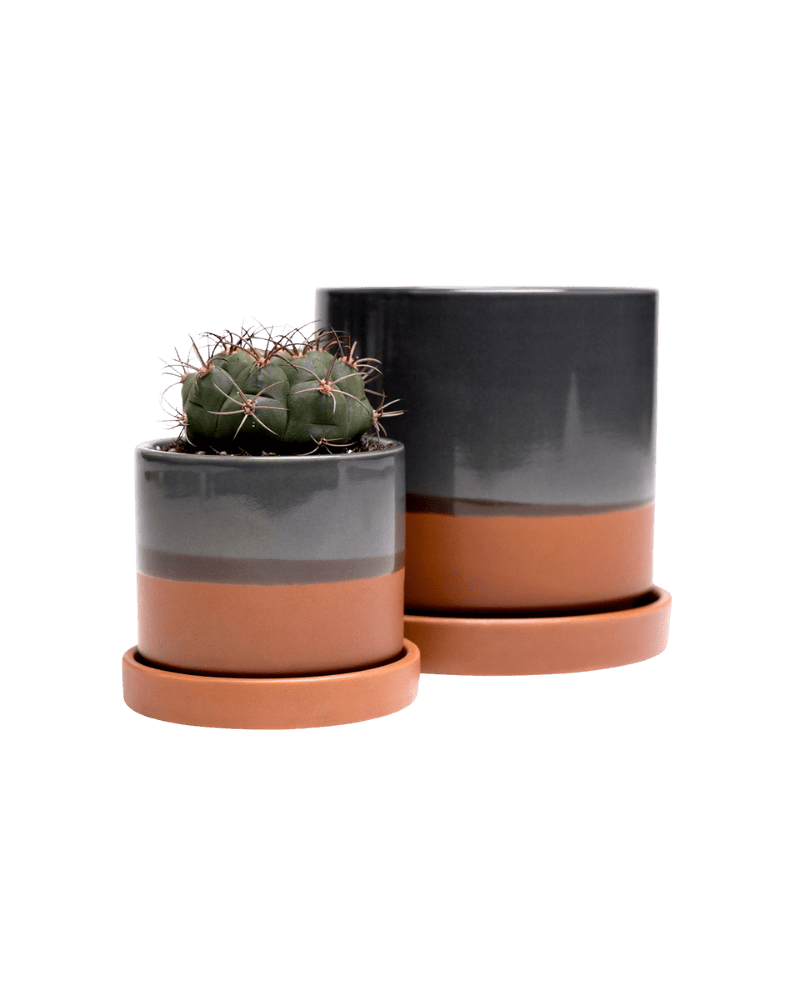 Minute Ceramic Pot And Saucer Set With Drainage - Chive US Wholesale