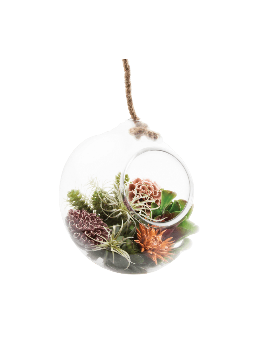 Bolsk Glass Large Hanging Terrarium - Chive US Wholesale