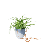 Bobbin Porcelain Modern Hanging Indoor Plant Pot - Chive US Wholesale
