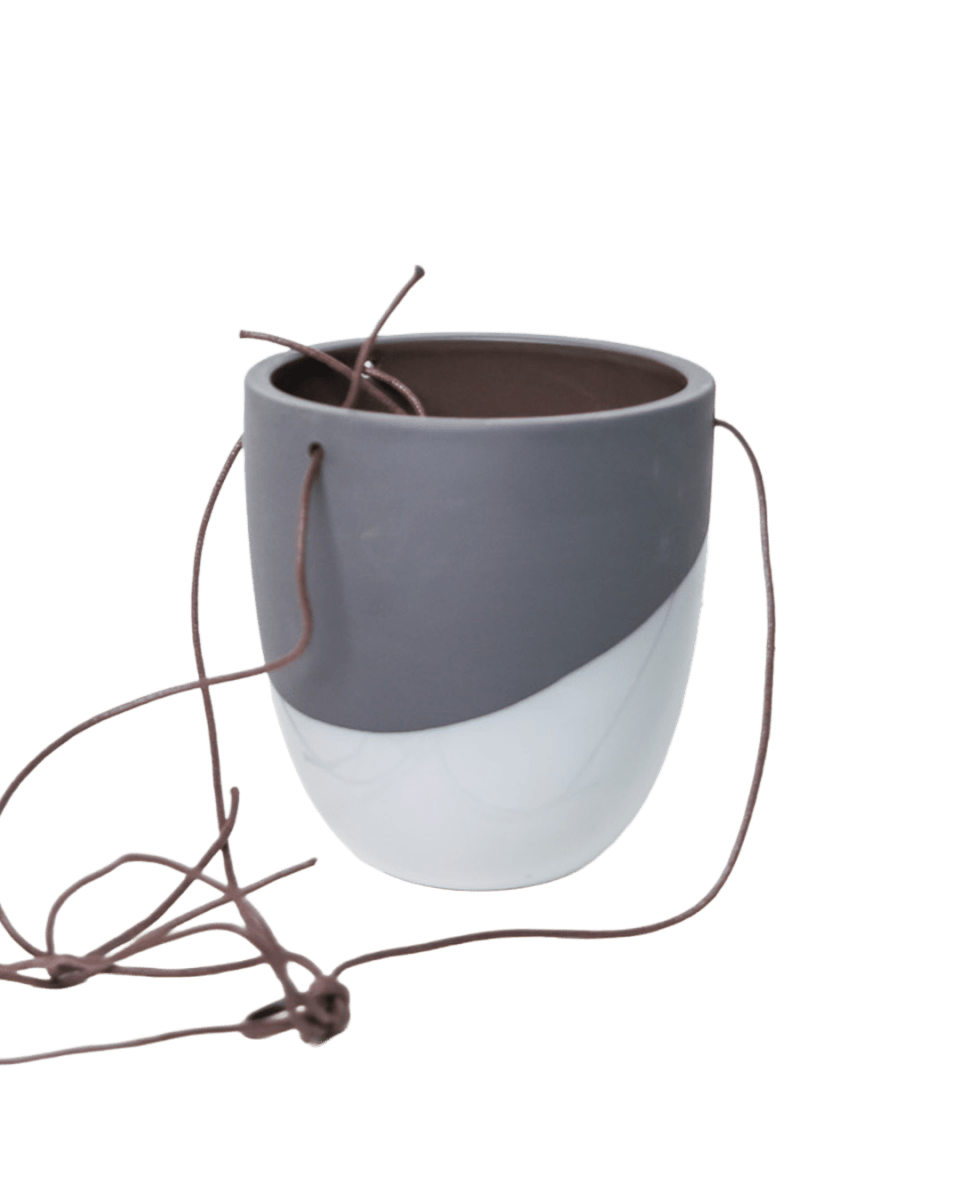 Bobbin Porcelain Modern Hanging Indoor Plant Pot - Chive US Wholesale