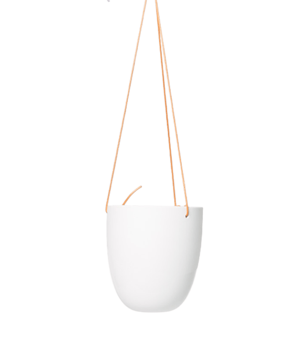 Bobbin Porcelain Modern Hanging Indoor Plant Pot - Chive US Wholesale