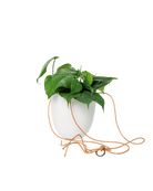 Bobbin Porcelain Modern Hanging Indoor Plant Pot - Chive US Wholesale