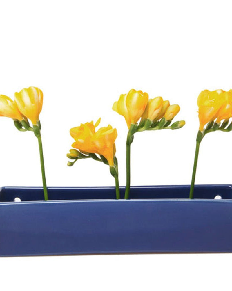 Wall Brick Planter 24pc Kit - Packers Choice - Chive US Wholesale