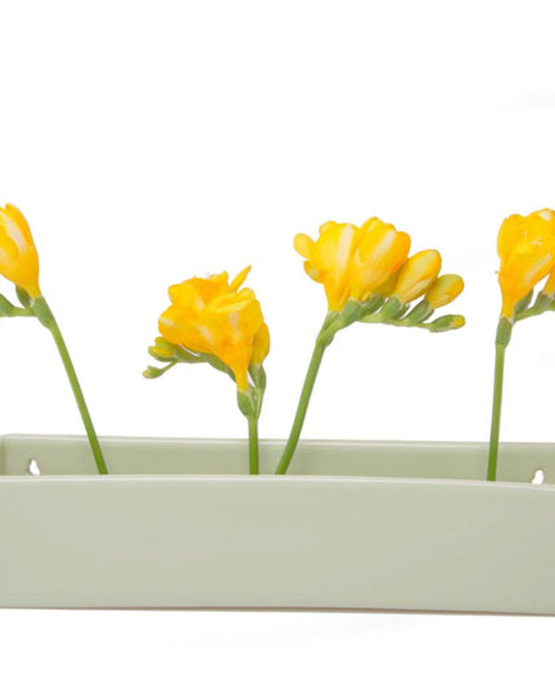 Wall Brick Planter 24pc Kit - Packers Choice - Chive US Wholesale