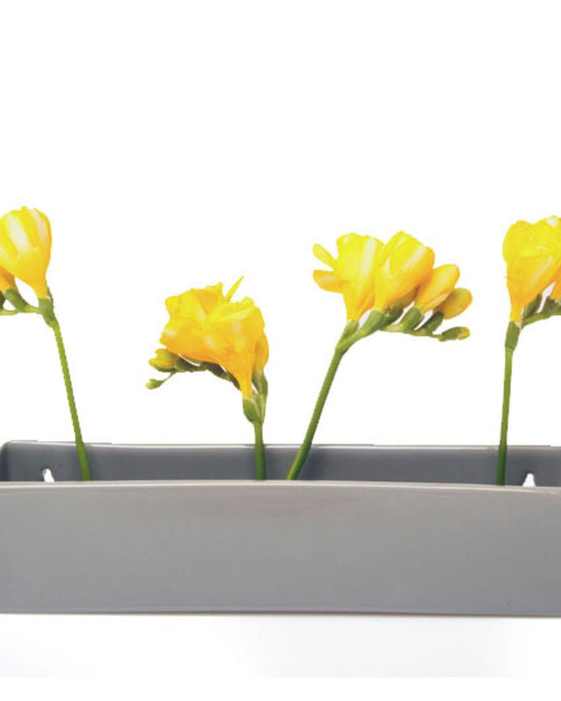Wall Brick Planter 24pc Kit - Packers Choice - Chive US Wholesale