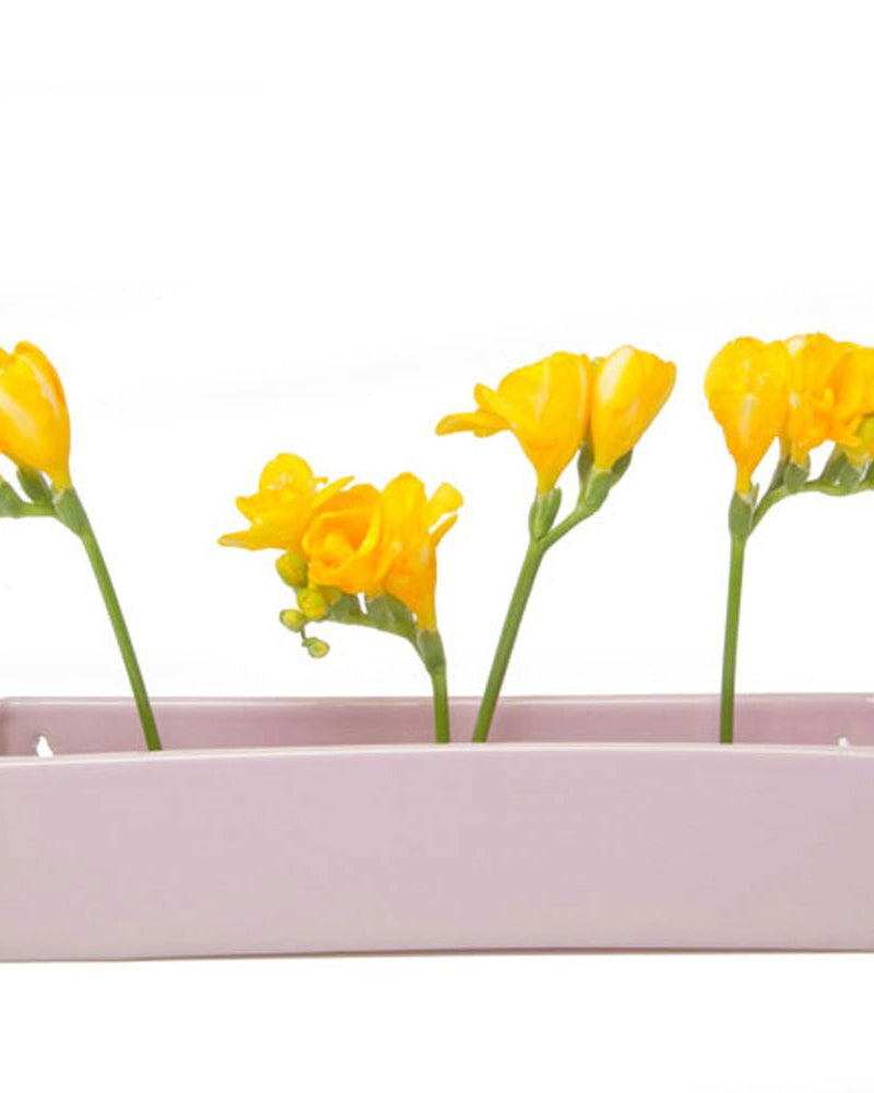 Wall Brick Planter 24pc Kit - Packers Choice - Chive US Wholesale