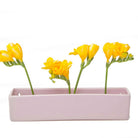 Wall Brick Planter 24pc Kit - Packers Choice - Chive US Wholesale