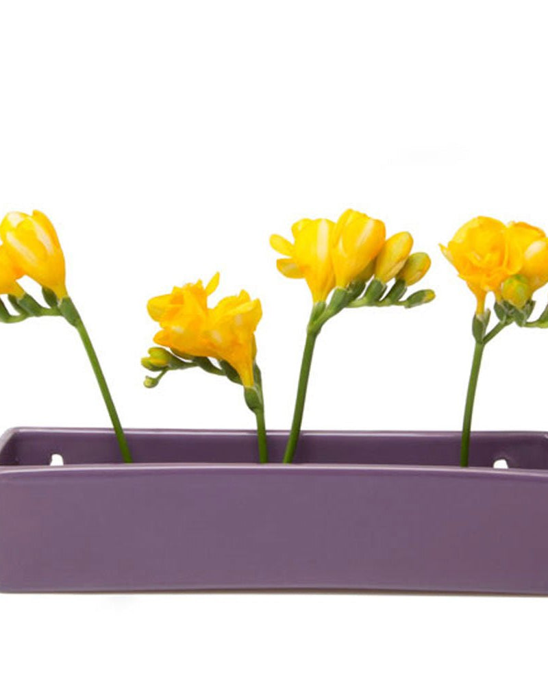 Wall Brick Planter 24pc Kit - Packers Choice - Chive US Wholesale