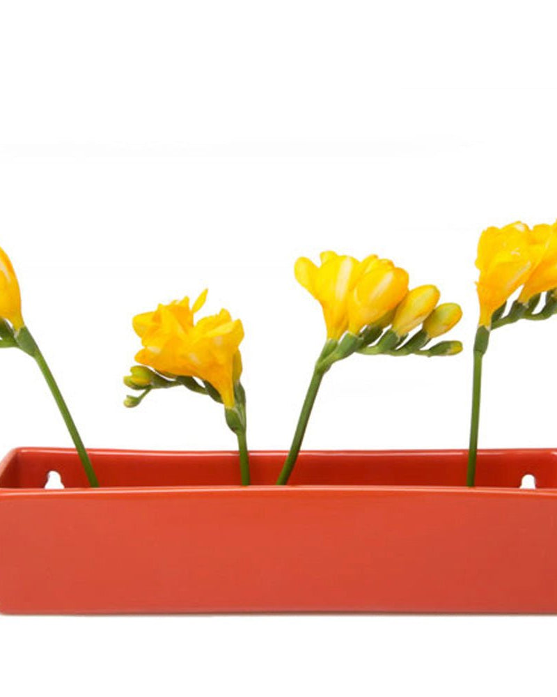 Wall Brick Planter 24pc Kit - Packers Choice - Chive US Wholesale
