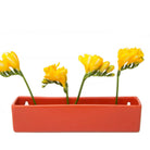 Wall Brick Planter 24pc Kit - Packers Choice - Chive US Wholesale