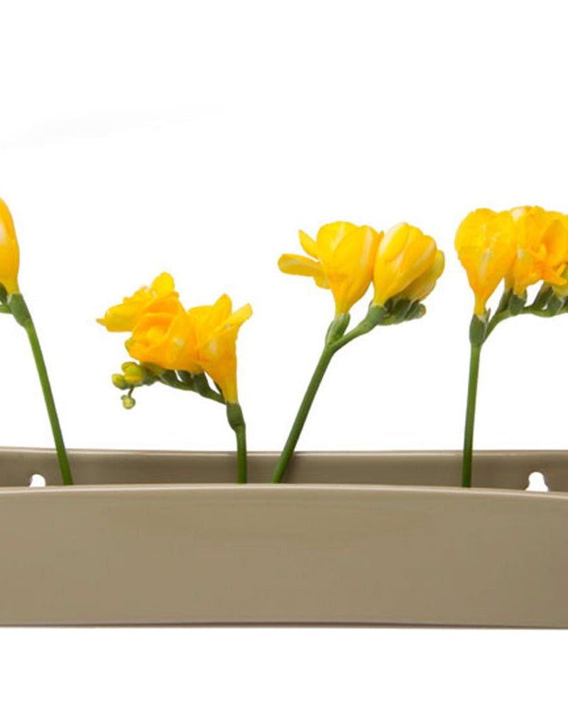 Wall Brick Planter 24pc Kit - Packers Choice - Chive US Wholesale