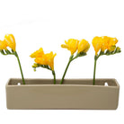 Wall Brick Planter 24pc Kit - Packers Choice - Chive US Wholesale