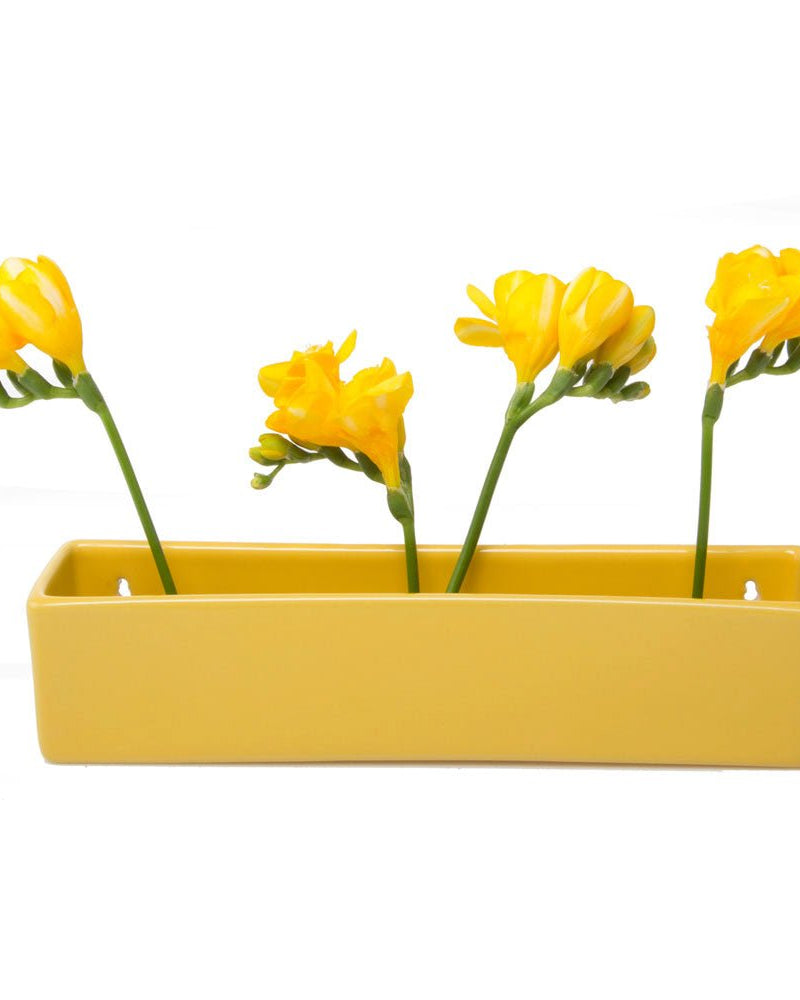 Wall Brick Planter 24pc Kit - Packers Choice - Chive US Wholesale
