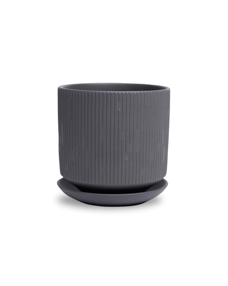 Virago 5" Porcelain Pot With Drainage Hole And Saucer - Chive US Wholesale