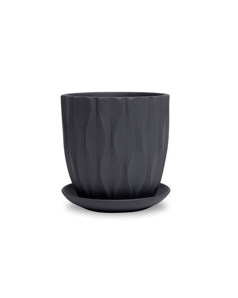 Virago 5" Porcelain Pot With Drainage Hole And Saucer - Chive US Wholesale