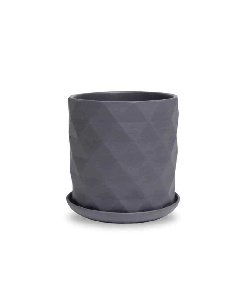 Virago 5" Porcelain Pot With Drainage Hole And Saucer - Chive US Wholesale