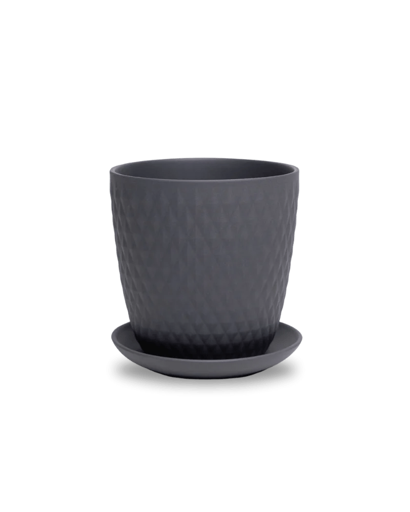 Virago Black Pot And Saucer 48pc Kit - Medium - Chive US Wholesale