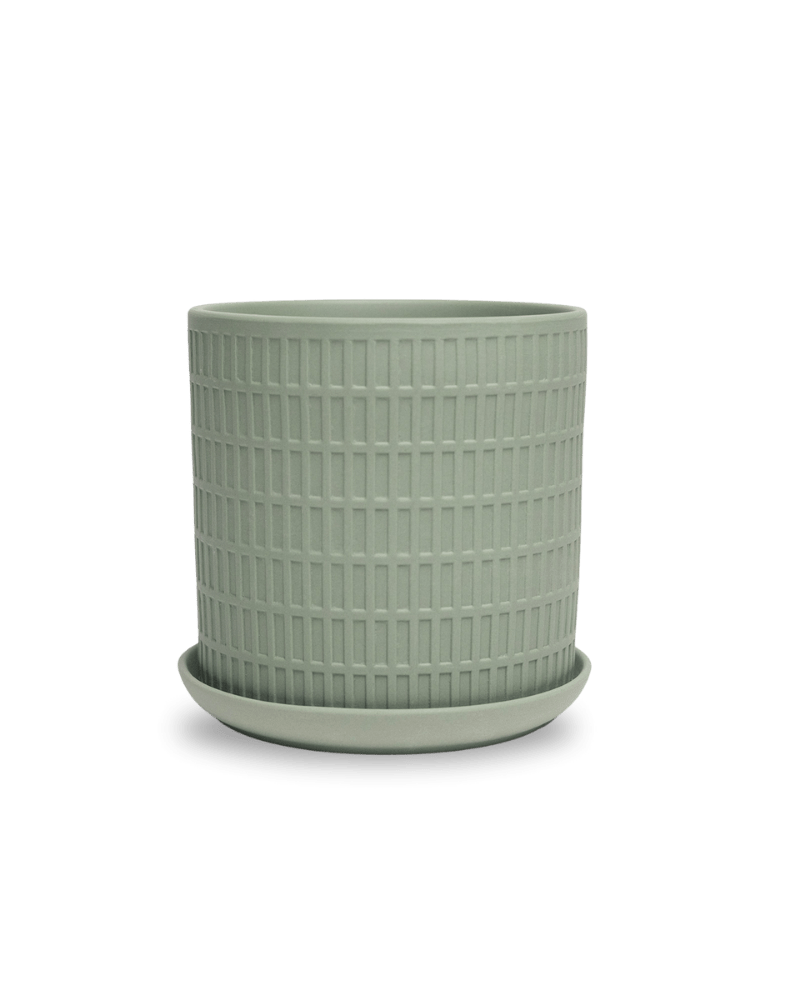 Virago 5" Porcelain Pot With Drainage Hole And Saucer - Chive US Wholesale