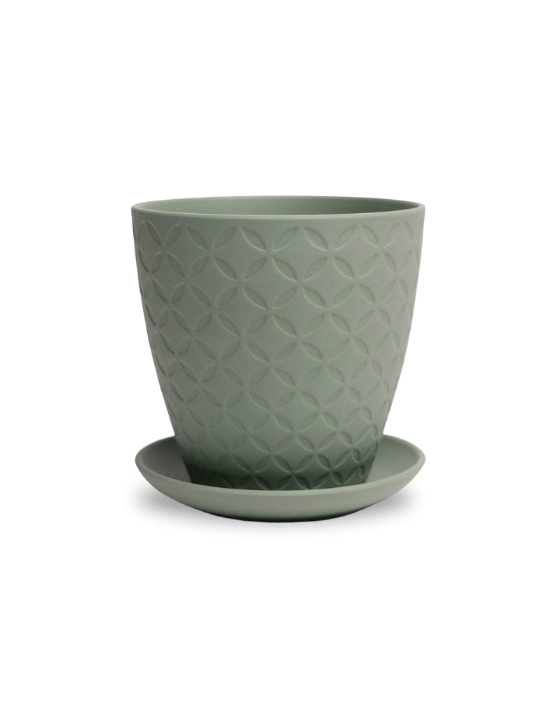 Virago 5" Porcelain Pot With Drainage Hole And Saucer - Chive US Wholesale