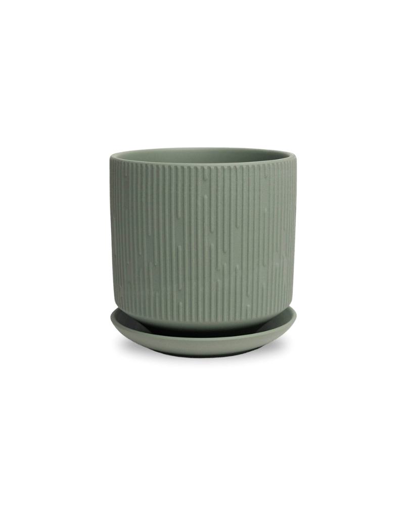 Virago 5" Porcelain Pot With Drainage Hole And Saucer - Chive US Wholesale