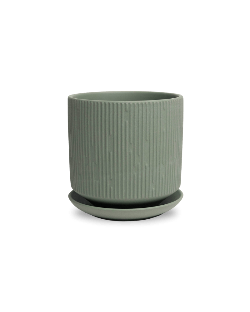 Virago 5" Porcelain Pot With Drainage Hole And Saucer - Chive US Wholesale