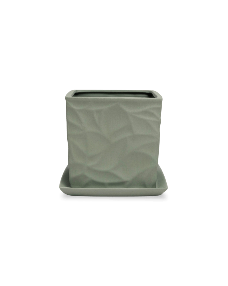 Virago 5" Porcelain Pot With Drainage Hole And Saucer - Chive US Wholesale