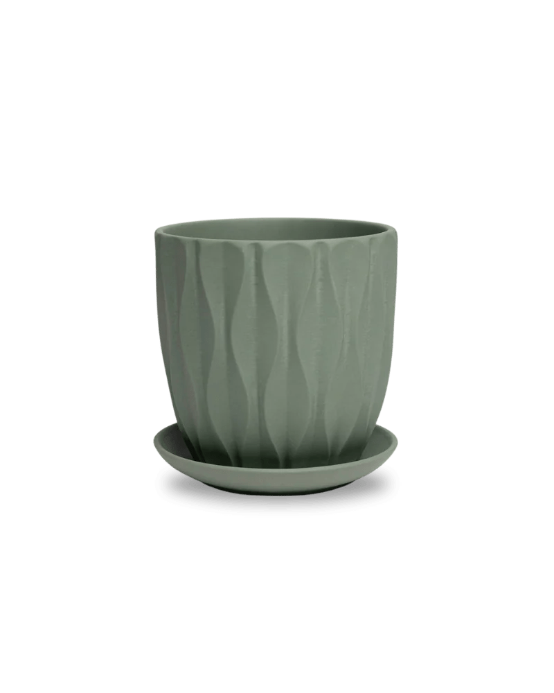 Virago Olive Pot And Saucer 48pc Kit - Small - Chive US Wholesale