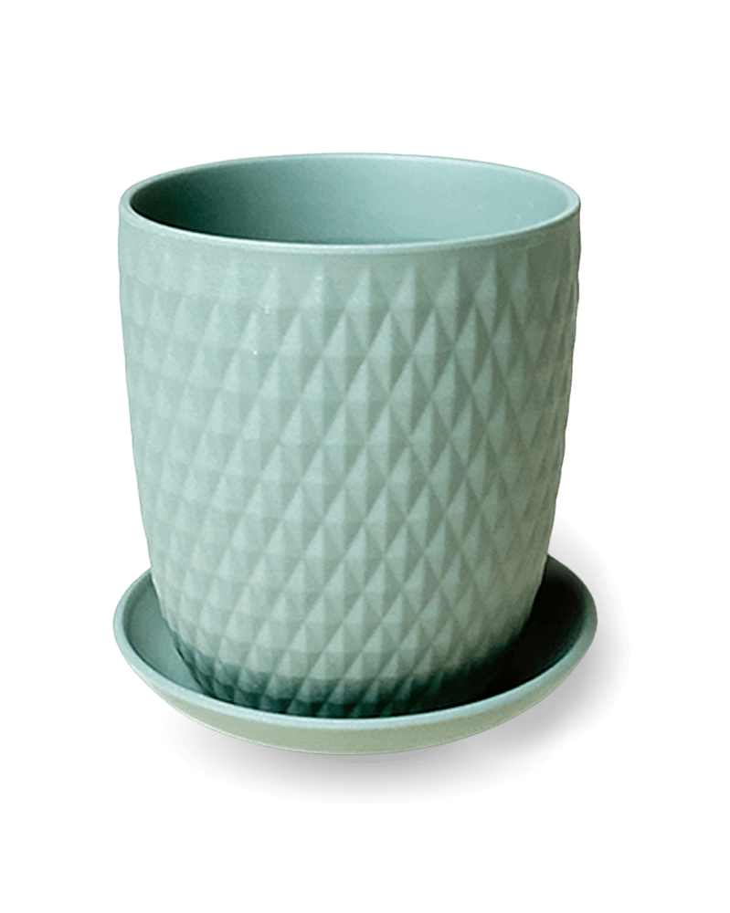 Virago 5" Porcelain Pot With Drainage Hole And Saucer - Chive US Wholesale