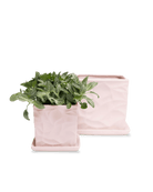 Virago Soft Pink Pot And Saucer 48pc Kit - Medium - Chive US Wholesale