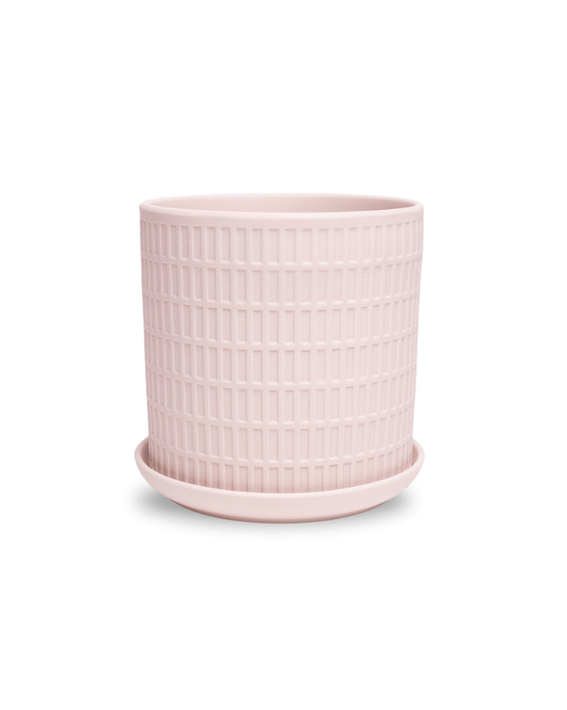 Virago 5" Porcelain Pot With Drainage Hole And Saucer - Chive US Wholesale