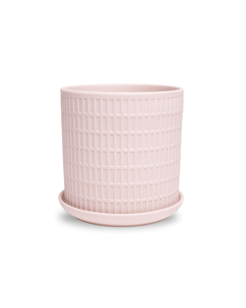 Virago 5" Porcelain Pot With Drainage Hole And Saucer - Chive US Wholesale