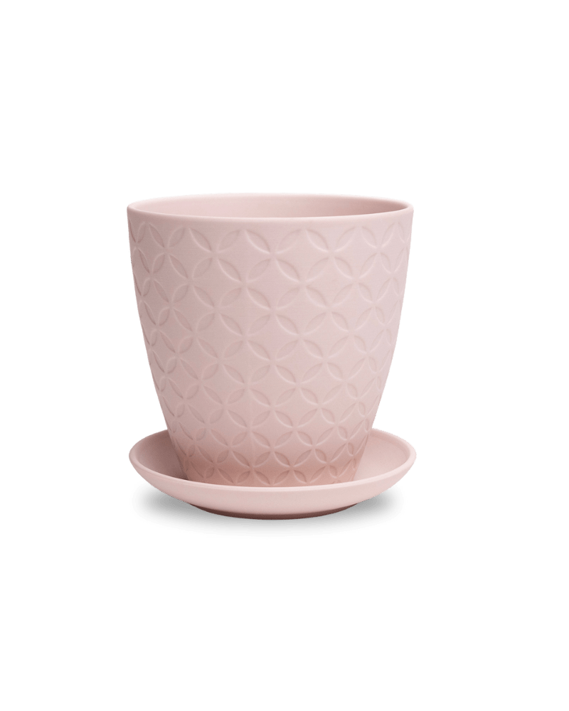 Virago 5" Porcelain Pot With Drainage Hole And Saucer - Chive US Wholesale