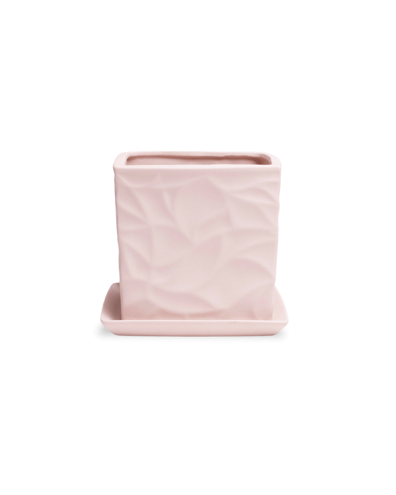 Virago 5" Porcelain Pot With Drainage Hole And Saucer - Chive US Wholesale