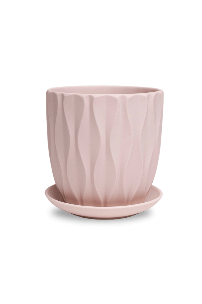 Virago 3.5" Porcelain Pot With Drainage Hole And Saucer - Chive US Wholesale