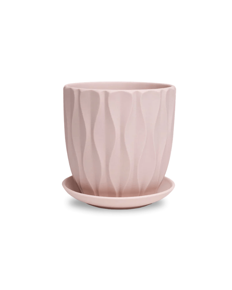 Virago Shape E Pot And Saucer 54pc Kit - Large Classics - Chive US Wholesale