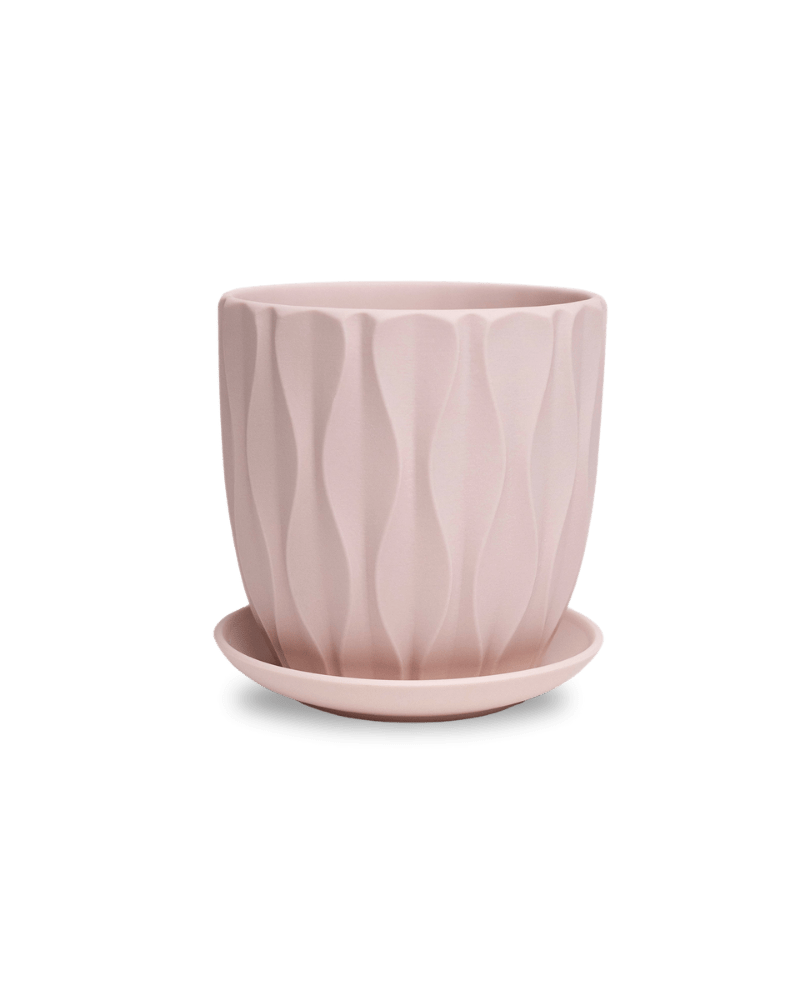 Virago 5" Porcelain Pot With Drainage Hole And Saucer - Chive US Wholesale