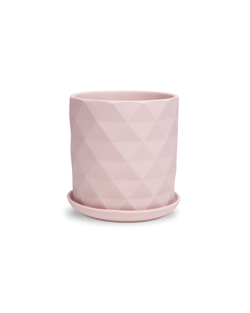 Virago 5" Porcelain Pot With Drainage Hole And Saucer - Chive US Wholesale