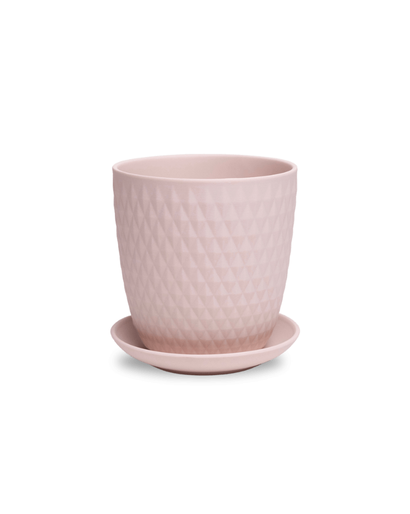 Virago 5" Porcelain Pot With Drainage Hole And Saucer - Chive US Wholesale