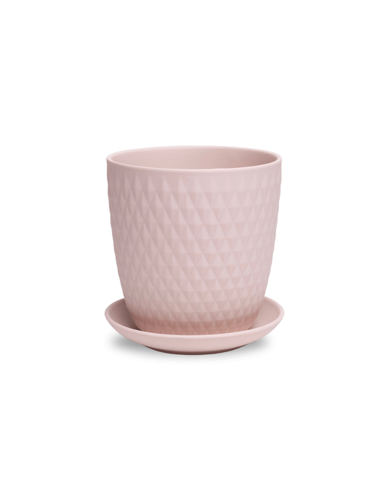 Virago 5" Porcelain Pot With Drainage Hole And Saucer - Chive US Wholesale