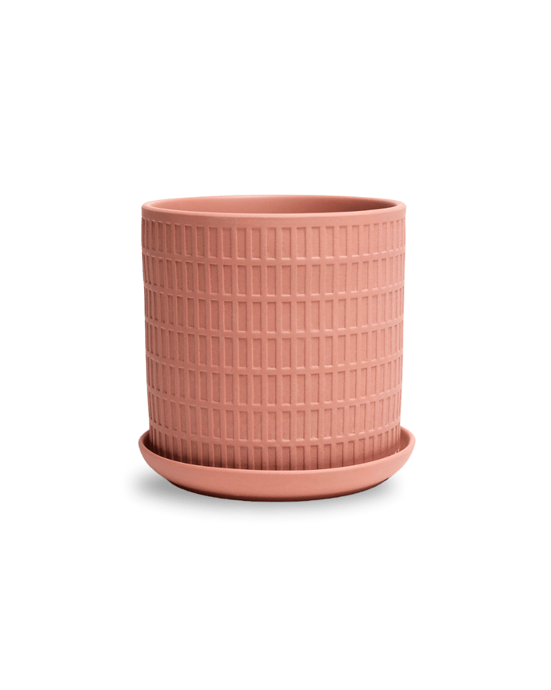 Virago 5" Porcelain Pot With Drainage Hole And Saucer - Chive US Wholesale