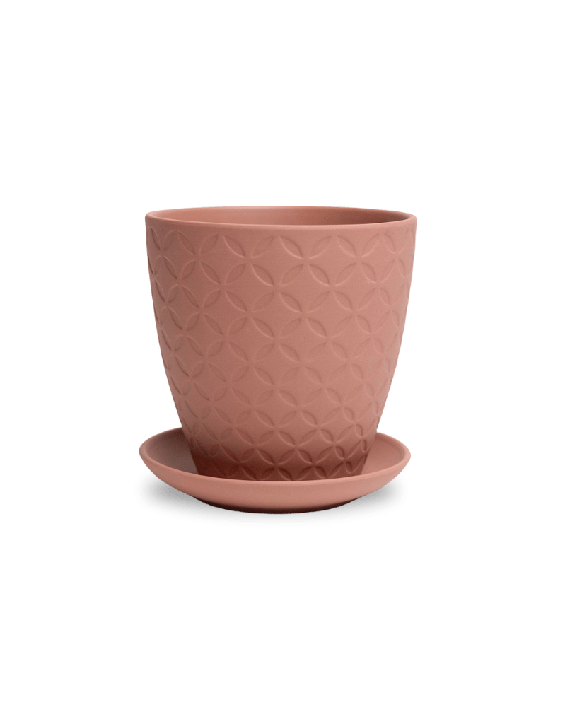 Virago 5" Porcelain Pot With Drainage Hole And Saucer - Chive US Wholesale