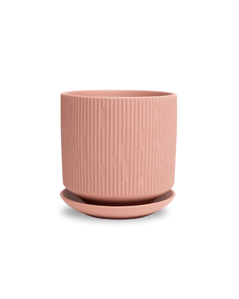 Virago 5" Porcelain Pot With Drainage Hole And Saucer - Chive US Wholesale