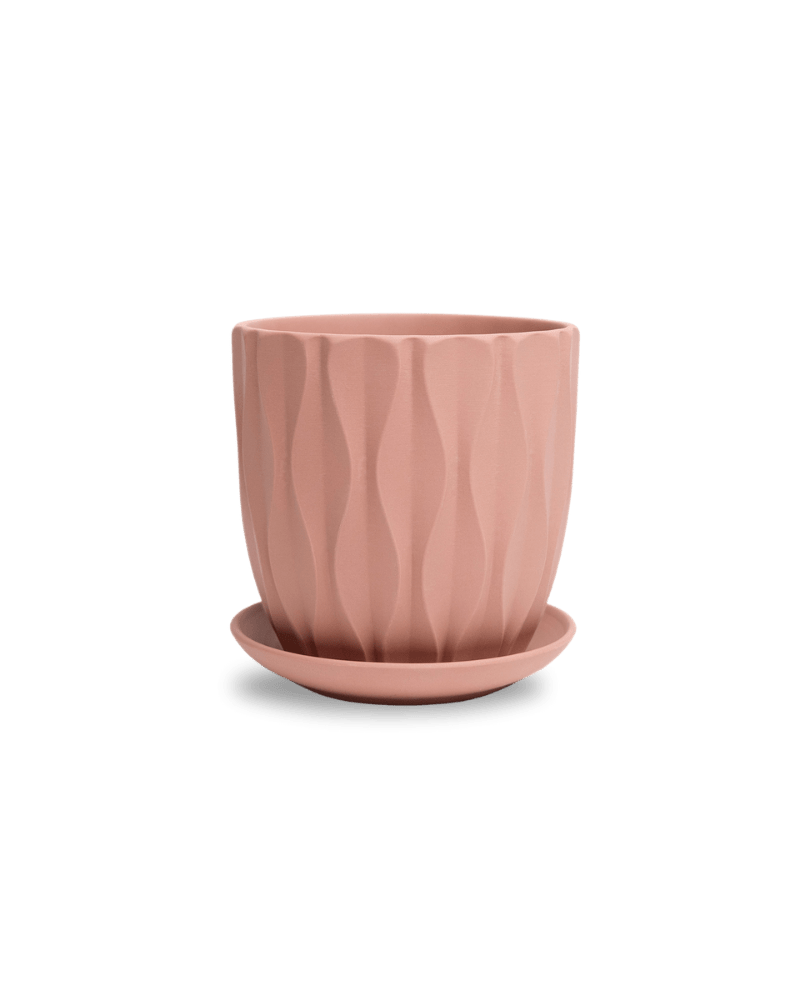 Virago 5" Porcelain Pot With Drainage Hole And Saucer - Chive US Wholesale