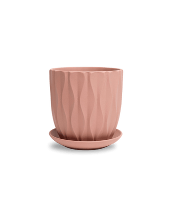 Virago 5" Porcelain Pot With Drainage Hole And Saucer - Chive US Wholesale
