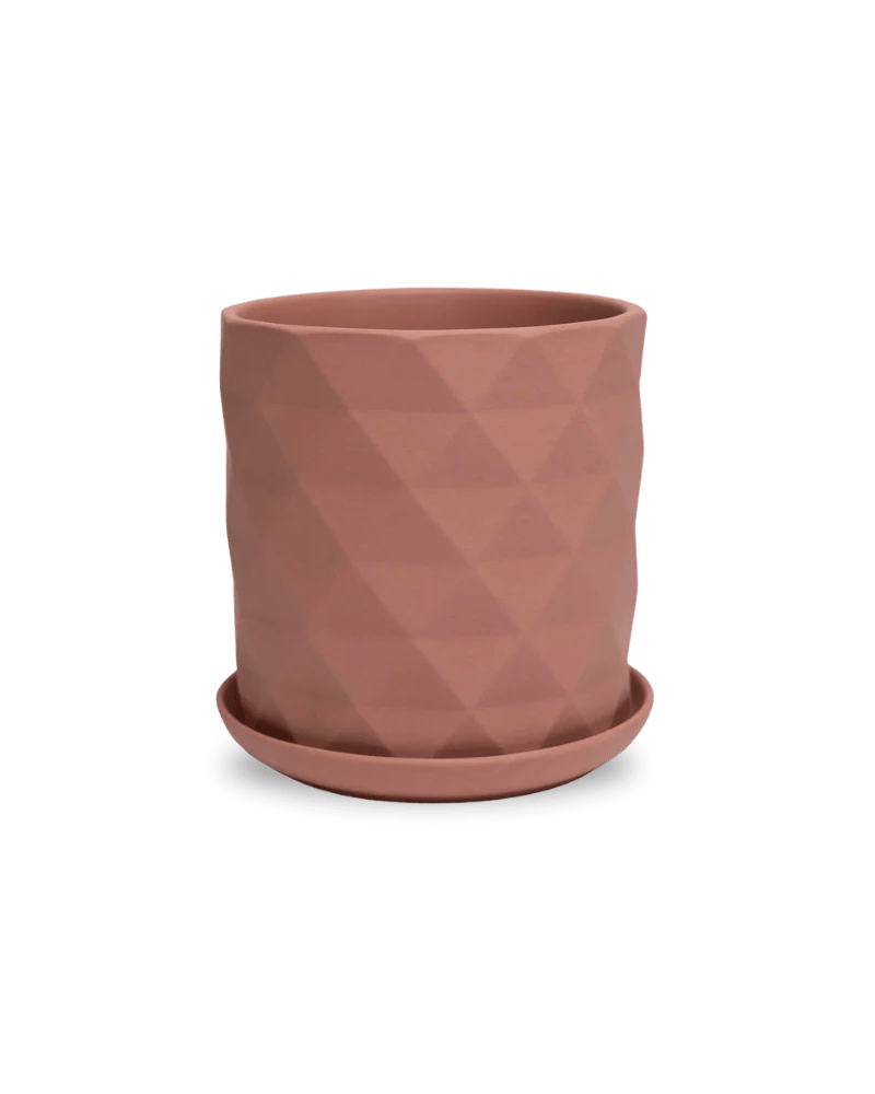 Virago Terracotta Pot And Saucer 48pc Kit - Medium - Chive US Wholesale