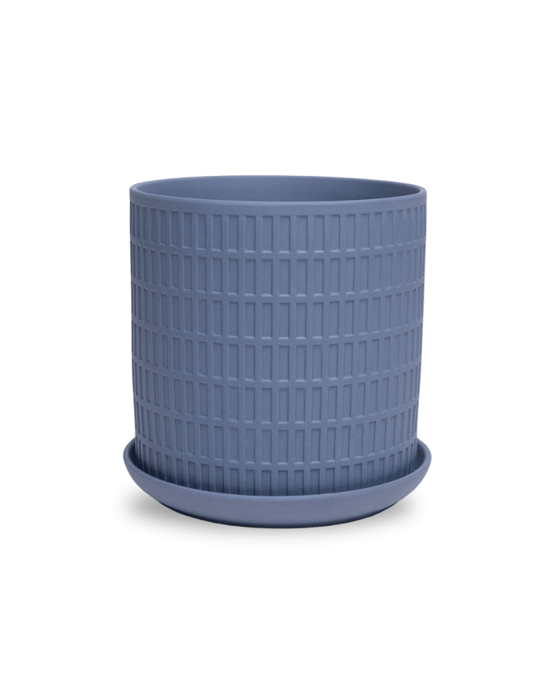 Virago 5" Porcelain Pot With Drainage Hole And Saucer - Chive US Wholesale