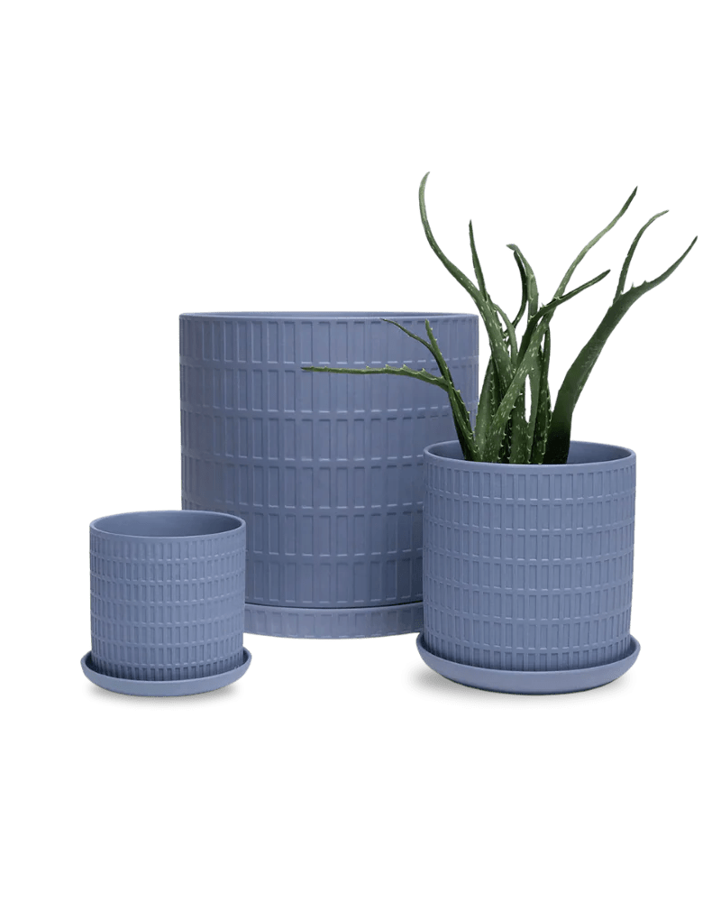 Virago Shape A Pot And Saucer 54pc Kit - Large - Chive US Wholesale